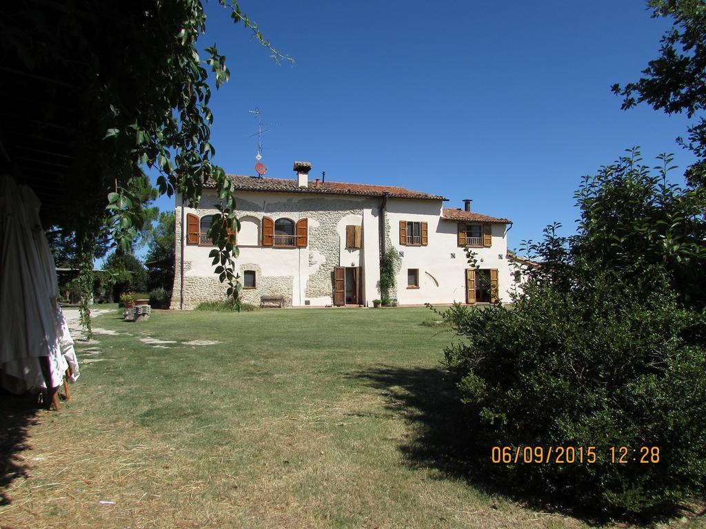 Agriturismo Ca'De'Gatti Faenza Bagian luar foto