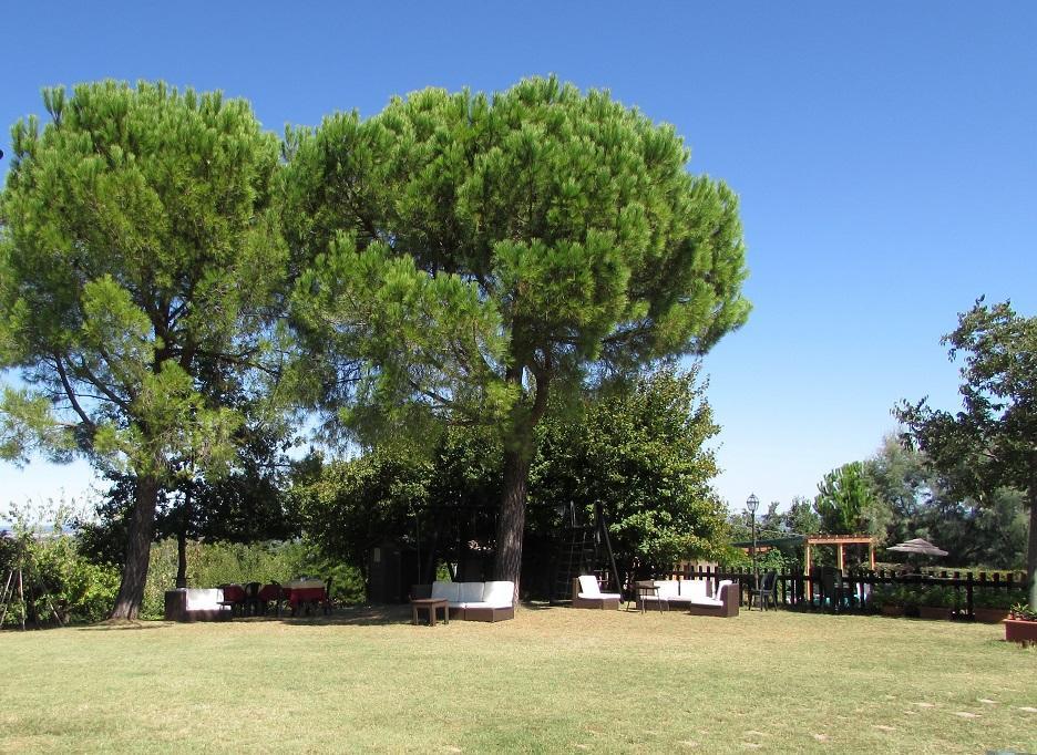 Agriturismo Ca'De'Gatti Faenza Bagian luar foto
