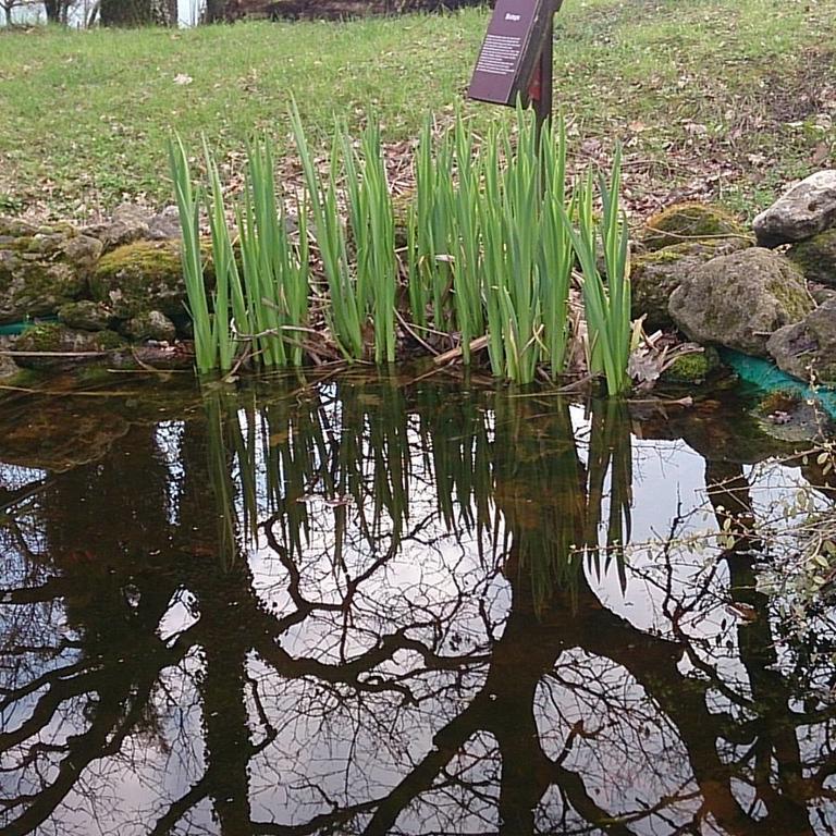 Agriturismo Ca'De'Gatti Faenza Bagian luar foto