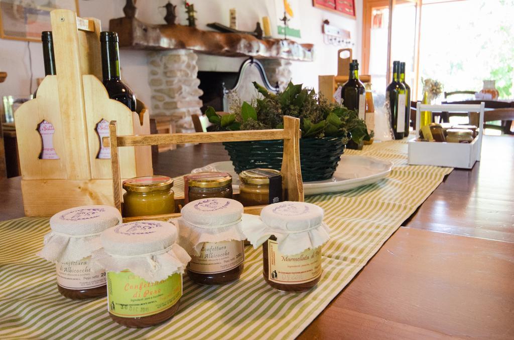 Agriturismo Ca'De'Gatti Faenza Bagian luar foto