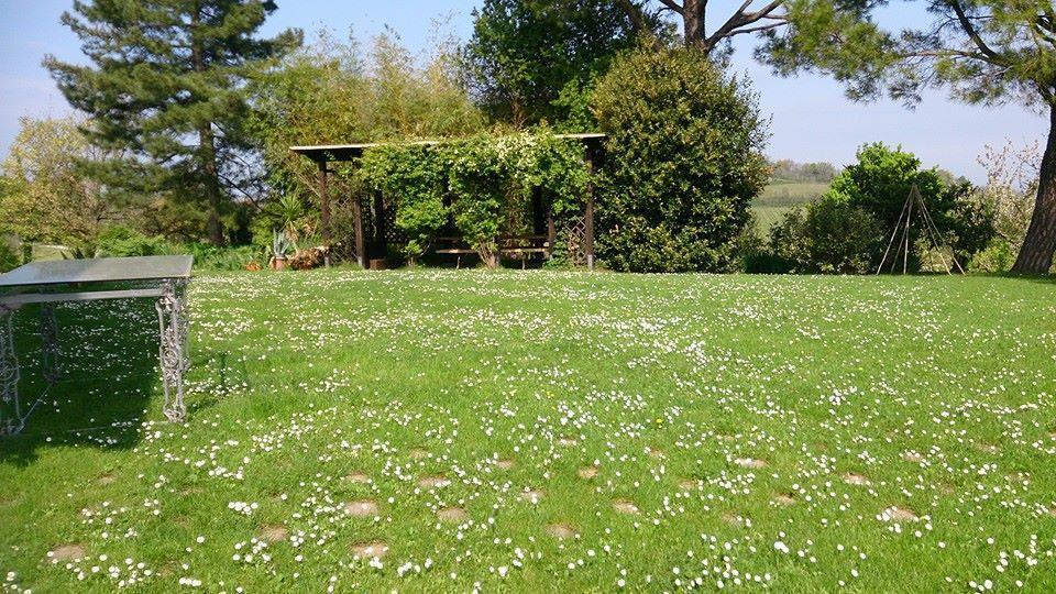 Agriturismo Ca'De'Gatti Faenza Bagian luar foto