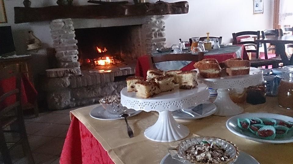 Agriturismo Ca'De'Gatti Faenza Bagian luar foto