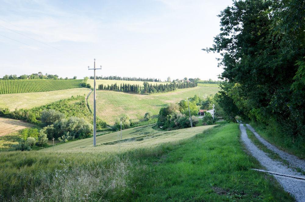 Agriturismo Ca'De'Gatti Faenza Bagian luar foto